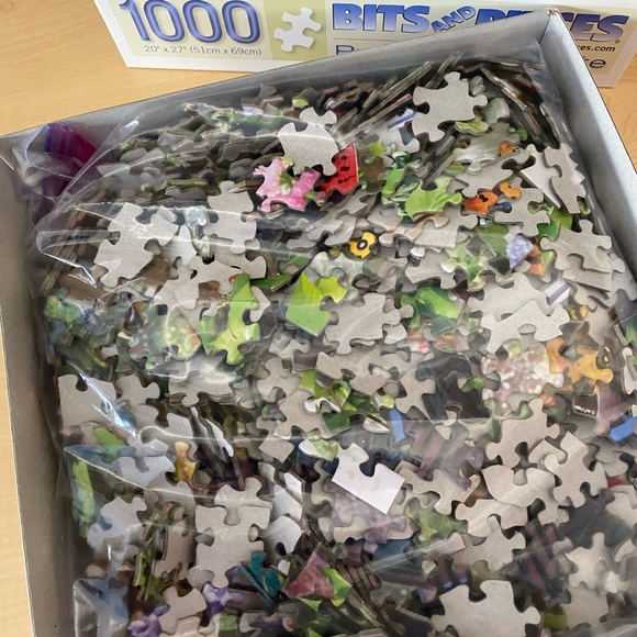 FLIGHT IN LIGHT PUZZLE - Picture 3 of 3